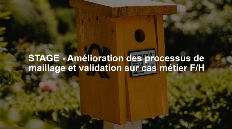 STAGE - Amélioration des processus de maillage et validation sur cas métier F/H