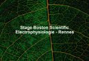 Stage Boston Scientific Electrophysiologie - Rennes