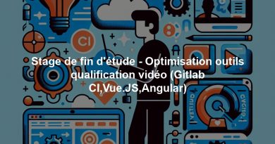 Stage de fin d'étude - Optimisation outils qualification vidéo (Gitlab CI,Vue.JS,Angular)