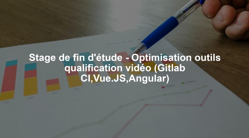 Stage de fin d'étude - Optimisation outils qualification vidéo (Gitlab CI,Vue.JS,Angular)