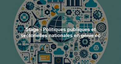 Stage - Politiques publiques et sectorielles nationales en génie éc