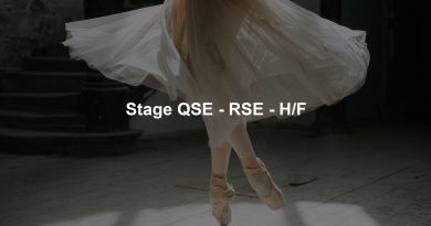 Stage QSE - RSE - H/F