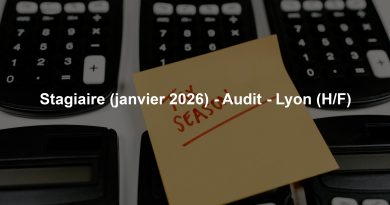 Stagiaire (janvier 2026) - Audit - Lyon (H/F)