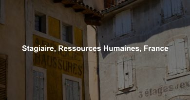 Stagiaire, Ressources Humaines, France