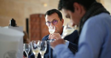 Vins de Bordeaux : les crémants continuent de gagner en popularité