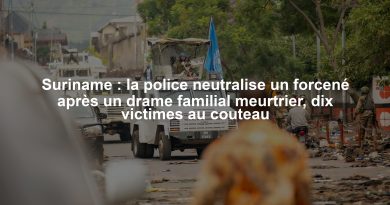 Suriname : la police neutralise un forcené après un drame familial meurtrier, dix victimes au couteau