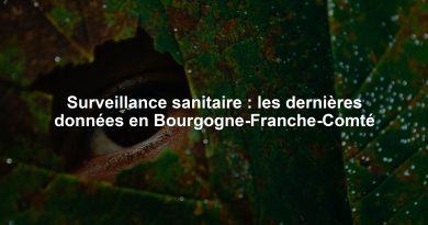 Surveillance sanitaire : les dernières données en Bourgogne-Franche-Comté