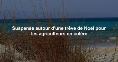 Suspense autour d'une trêve de Noël pour les agriculteurs en colère