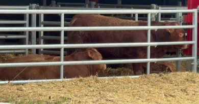 La "ferme aux 1200 taurillons" condamnée à une amende 8000 euros pour non-respect du plan d'épandage