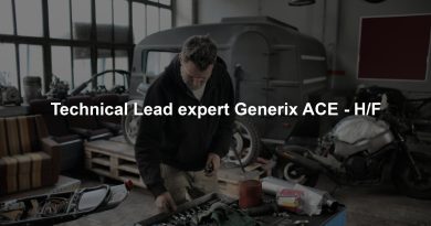 Technical Lead expert Generix ACE - H/F