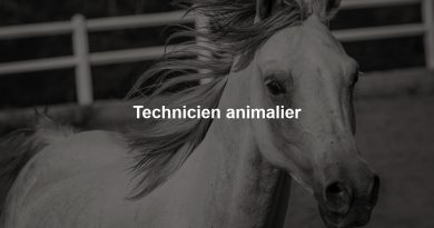Technicien animalier