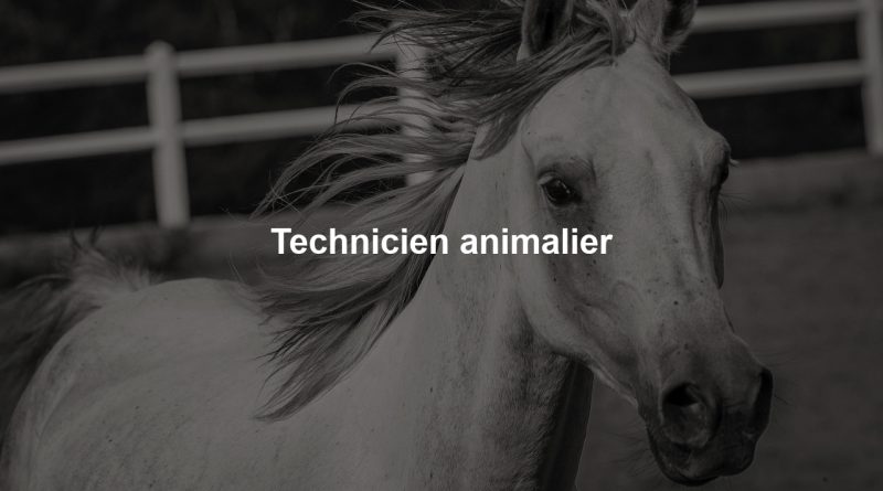Technicien animalier