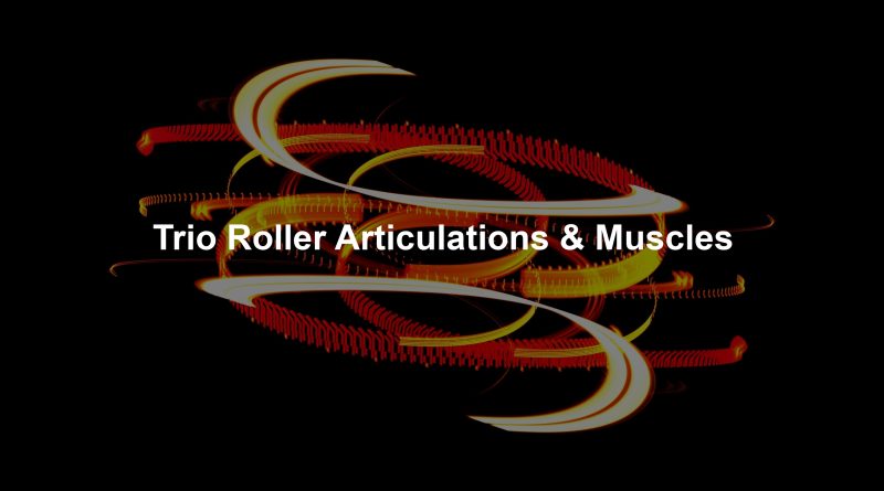 Trio Roller Articulations & Muscles