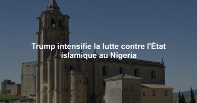 Trump intensifie la lutte contre l'État islamique au Nigeria