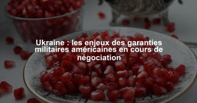 Ukraine : les enjeux des garanties militaires américaines en cours de négociation