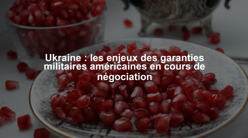 Ukraine : les enjeux des garanties militaires américaines en cours de négociation