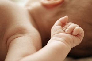 Alimentation pour bébés : plus de 50 % des produits sont ultra-transformés