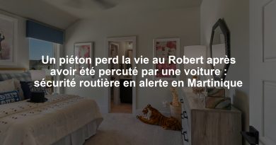 Un piéton perd la vie au Robert après avoir été percuté par une voiture : sécurité routière en alerte en Martinique