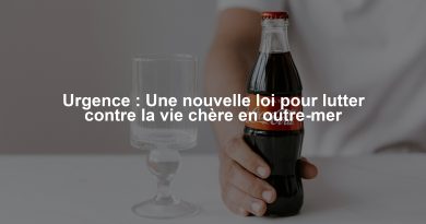 Urgence : Une nouvelle loi pour lutter contre la vie chère en outre-mer