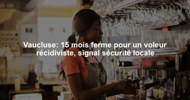 Vaucluse: 15 mois ferme pour un voleur récidiviste, signal sécurité locale