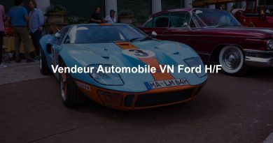 Vendeur Automobile VN Ford H/F