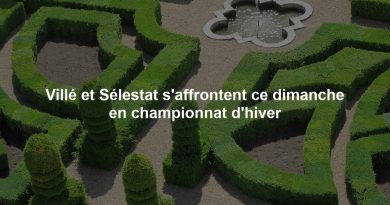 Villé et Sélestat s'affrontent ce dimanche en championnat d'hiver