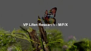 VP Lifen Research - M/F/X