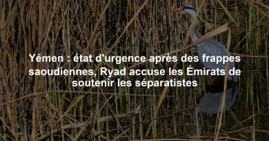 Yémen : état d'urgence après des frappes saoudiennes, Ryad accuse les Émirats de soutenir les séparatistes