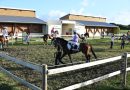 →→ Les courses hippiques ont repris à Anse Bertrand