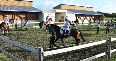 →→ Les courses hippiques ont repris à Anse Bertrand