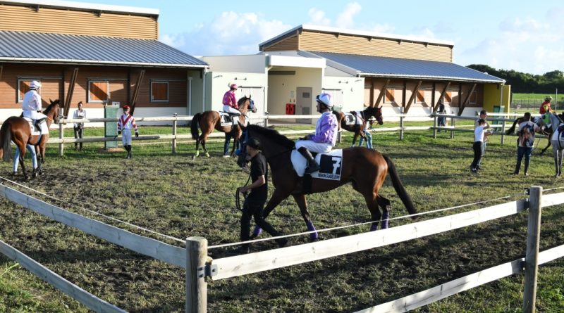 →→ Les courses hippiques ont repris à Anse Bertrand