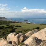 Balade guidée à la découverte des Zones Humides - Fanali di Senetosa