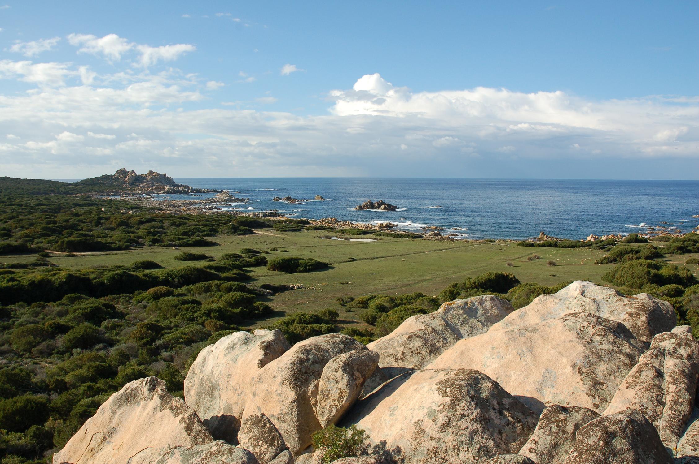 Balade guidée pour explorer les zones humides autour du Fanali di Senetosa