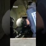 10 TONS de cocaïne saisies sur un bateau narco : un record !