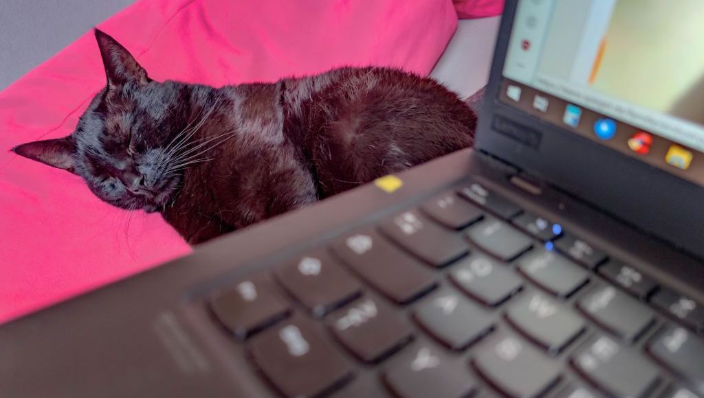 Reprise du travail : pourquoi la motivation baisse-t-elle après les vacances ?