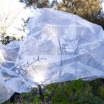 "Les plantes ont besoin du repos végétatif de l'hiver" - ICI