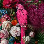 À Bassillac-Auberoche, un jeune couple fait dialoguer cuisine créole et terroir périgourdin - ICI