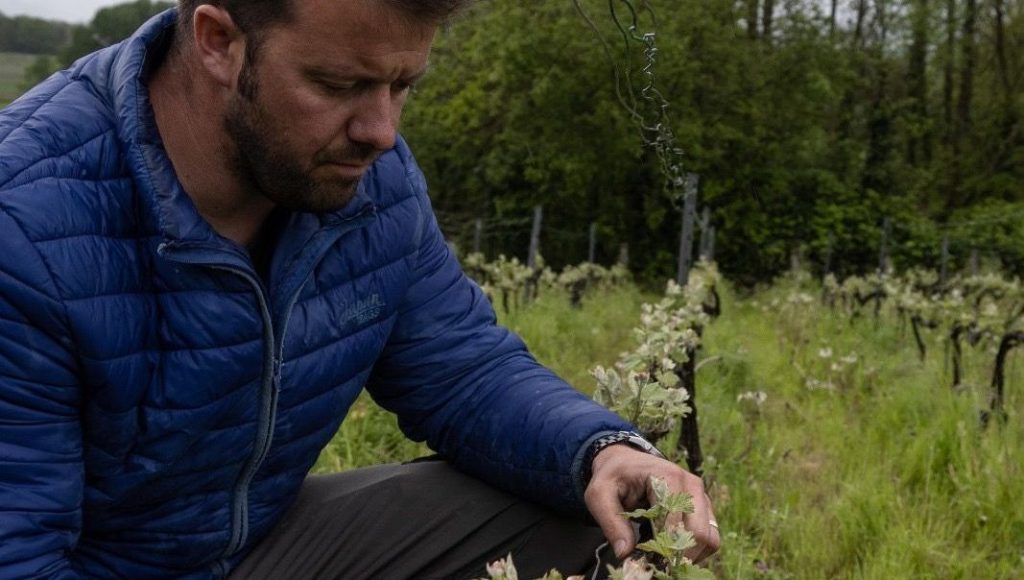 Les pratiques bio d'aujourd'hui étaient-elles la norme autrefois ? - ICI