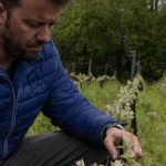 Les pratiques bio d'aujourd'hui étaient-elles la norme autrefois ? - ICI