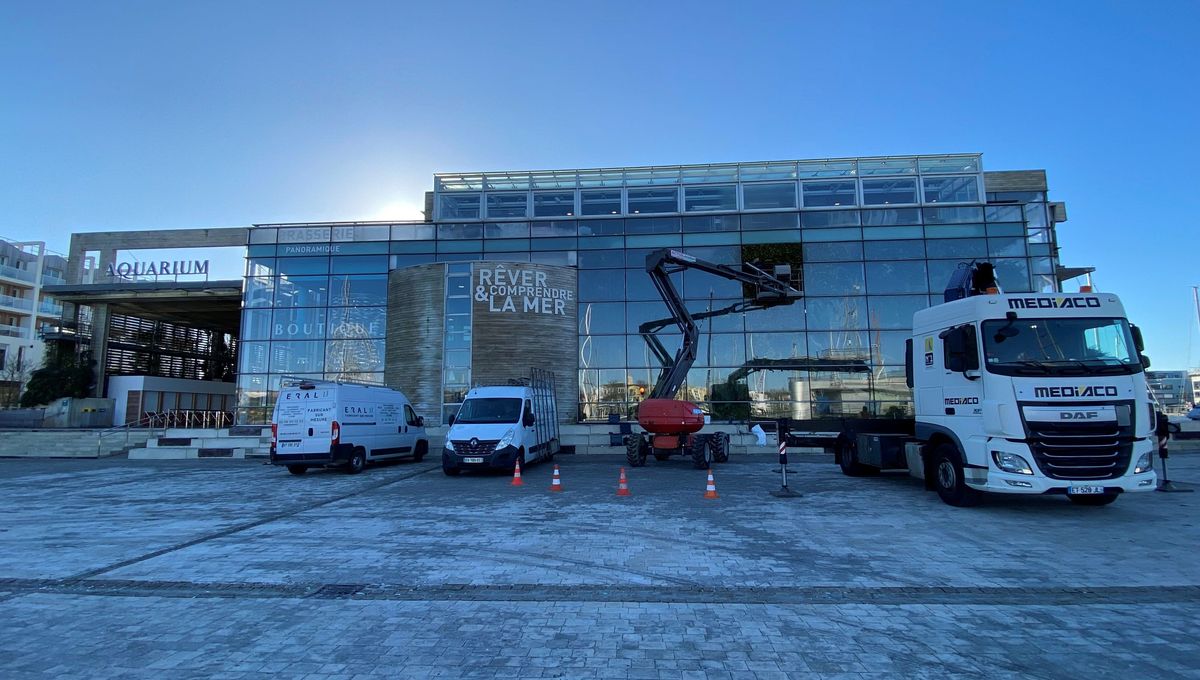 Travaux à l’Aquarium de La Rochelle : immersion dans les coulisses et les missions de l’établissement