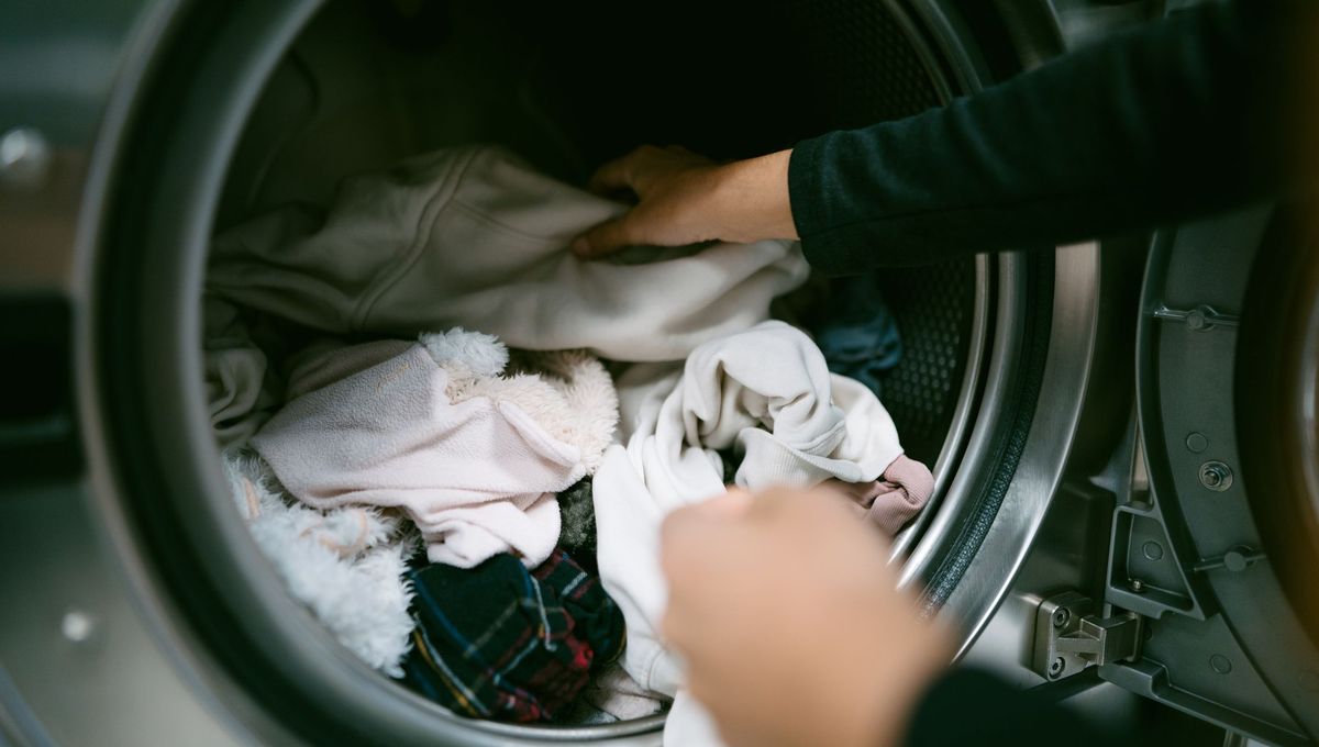 Pourquoi votre lessive propre dégage parfois une mauvaise odeur selon les experts