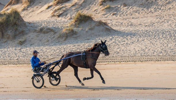 Quinté du lundi 5 janvier à Paris Vincennes à 13h55 : sélection d’Hervé Fortin