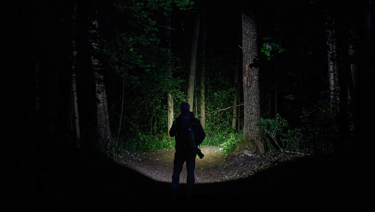 Randonnée nocturne et dîner forézien : une expérience hivernale authentique à Sauvain