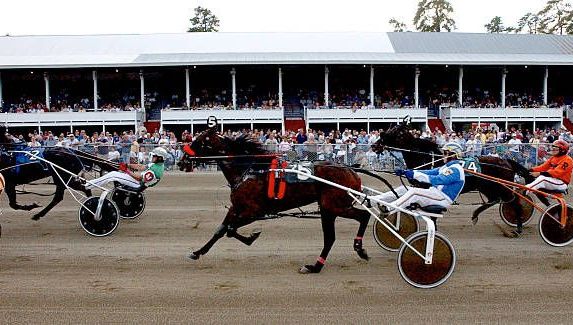 Quinté du dimanche 4 janvier à Paris Vincennes à 15h15 : sélection Hervé Fortin
