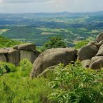 Une sortie nature dans le Morvan - ICI