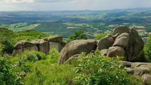 Une sortie nature dans le Morvan - ICI