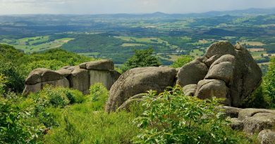 Une sortie nature dans le Morvan - ICI