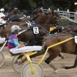 dimanche 11 janvier Quinté à Paris Vincennes à 15h15 Sélection Hervé Fortin - ICI