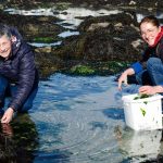 Estelle et Scarlette Le Corre, les algues c'est la vie - ICI