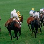 Quinté ce soir à Deauville du vendredi 16 janvier : les pronostics hippiques d'Hervé Fortin - ICI